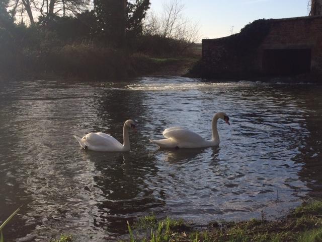 Sculthorpe Mill Hotel Fakenham Ngoại thất bức ảnh