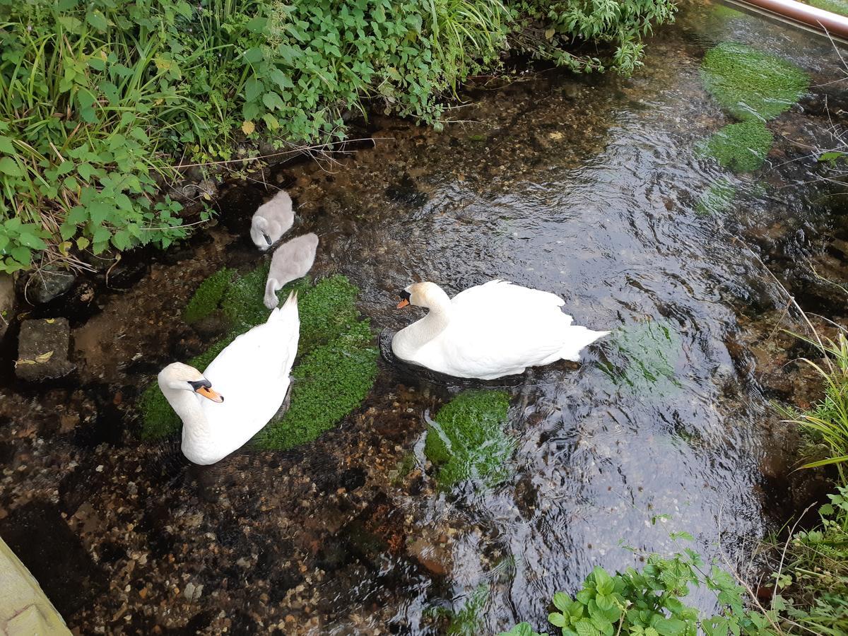 Sculthorpe Mill Hotel Fakenham Ngoại thất bức ảnh